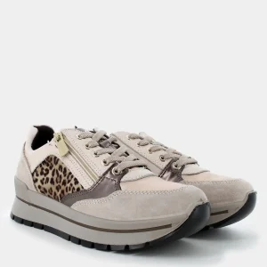 6673866ANIKAVISONE-MARRONE- SNEAKERS^IGI & CO. Store