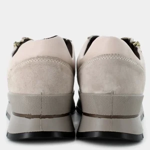 6673866ANIKAVISONE-MARRONE- SNEAKERS^IGI & CO. Store