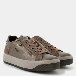 6669633AVABRONZO- SNEAKERS^IGI & CO. Outlet