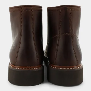 DSM172603OAKLANDDARK BROWN- SCARPONCINI^DOCKSTEPS Hot