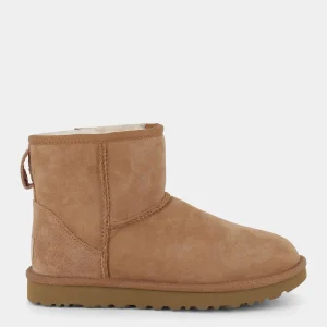 1016222MINICHESNUT- TRONCHETTI^UGG Best