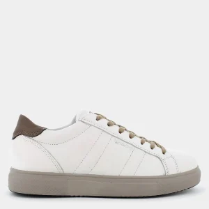 6633644SACHA- SNEAKERS^IGI & CO. Hot