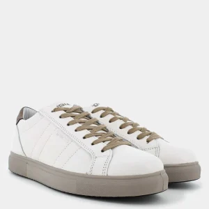 6633644SACHA- SNEAKERS^IGI & CO. Hot