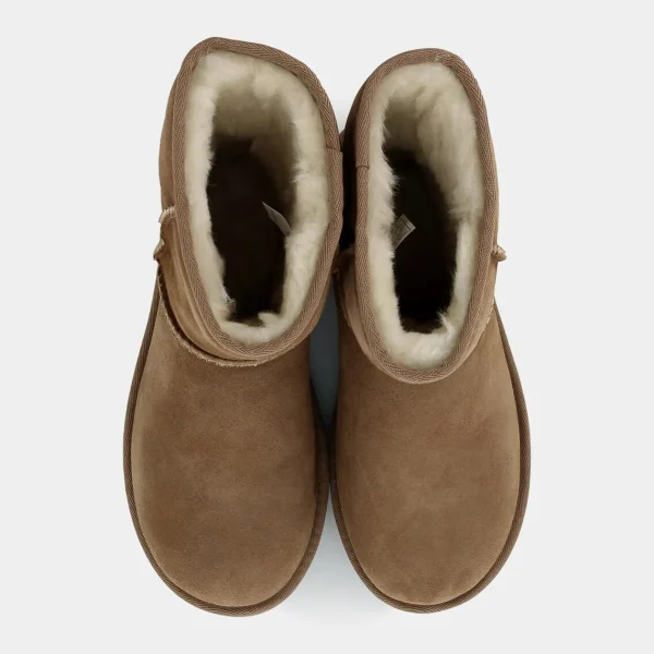 1016223SHORTCHESTNUT- TRONCHETTI^UGG Discount