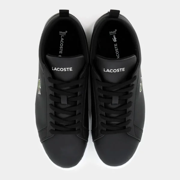 48SMA0112CARNA BASEBLK/WHT- SPORTIVE^LACOSTE Online