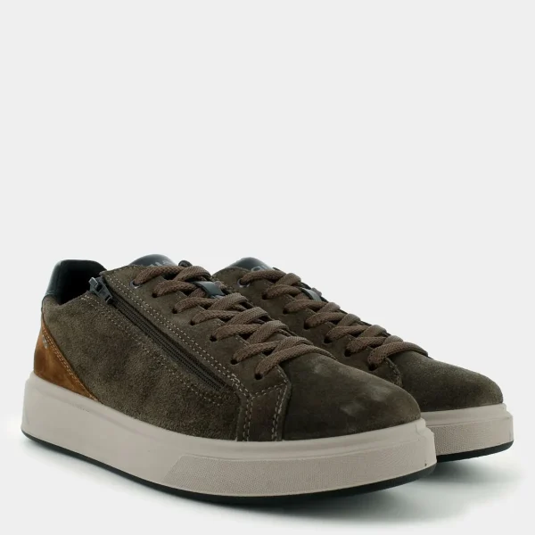 6635111STENBOSCO/COGNAC- SNEAKERS^IGI & CO. Sale