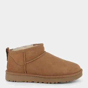 1116109ULTMINICHESTNUT- TRONCHETTI^UGG Online