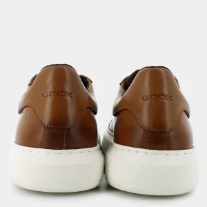 U455WD00085C6002DEIVEN DLIGHT BROWN- SNEAKERS^GEOX Flash Sale
